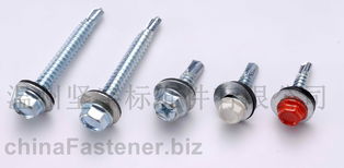 supply screws and rivets 温州坚字标准件